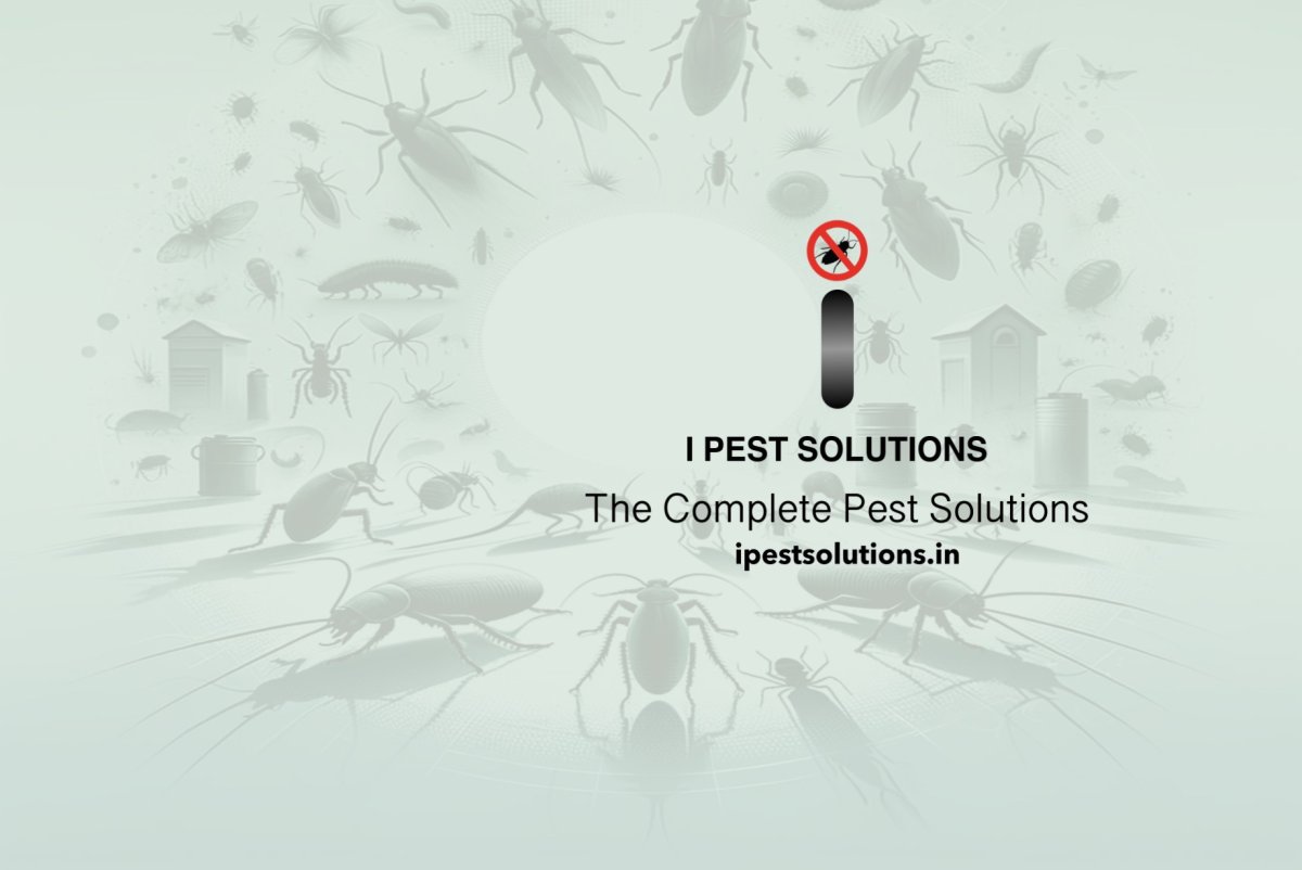 ipest solutions home page insectes ipest solutions home page insectes